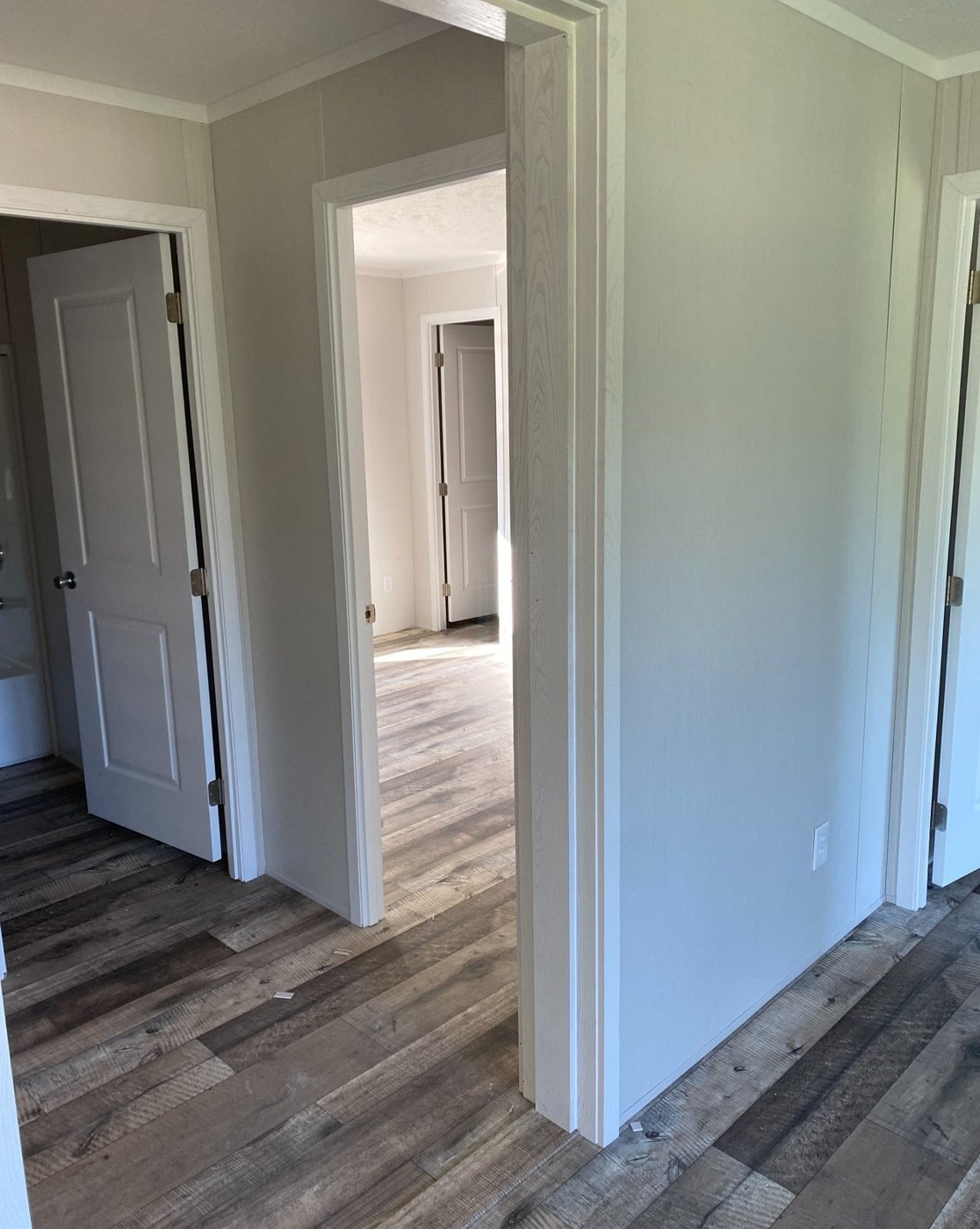 Interior hallway with white door trim and gray wood-look flooring.